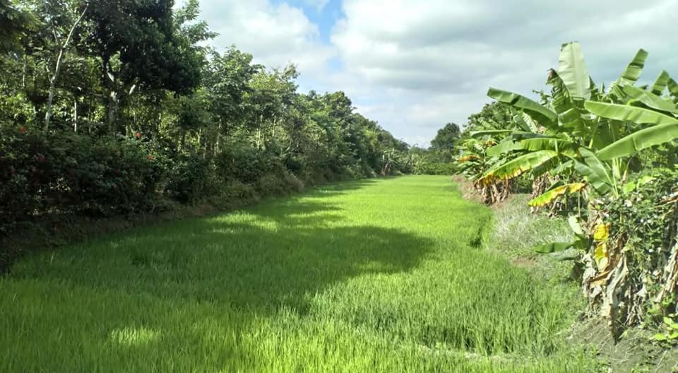 Happy Homestay Buôn Ma Thuột Ngoại thất bức ảnh